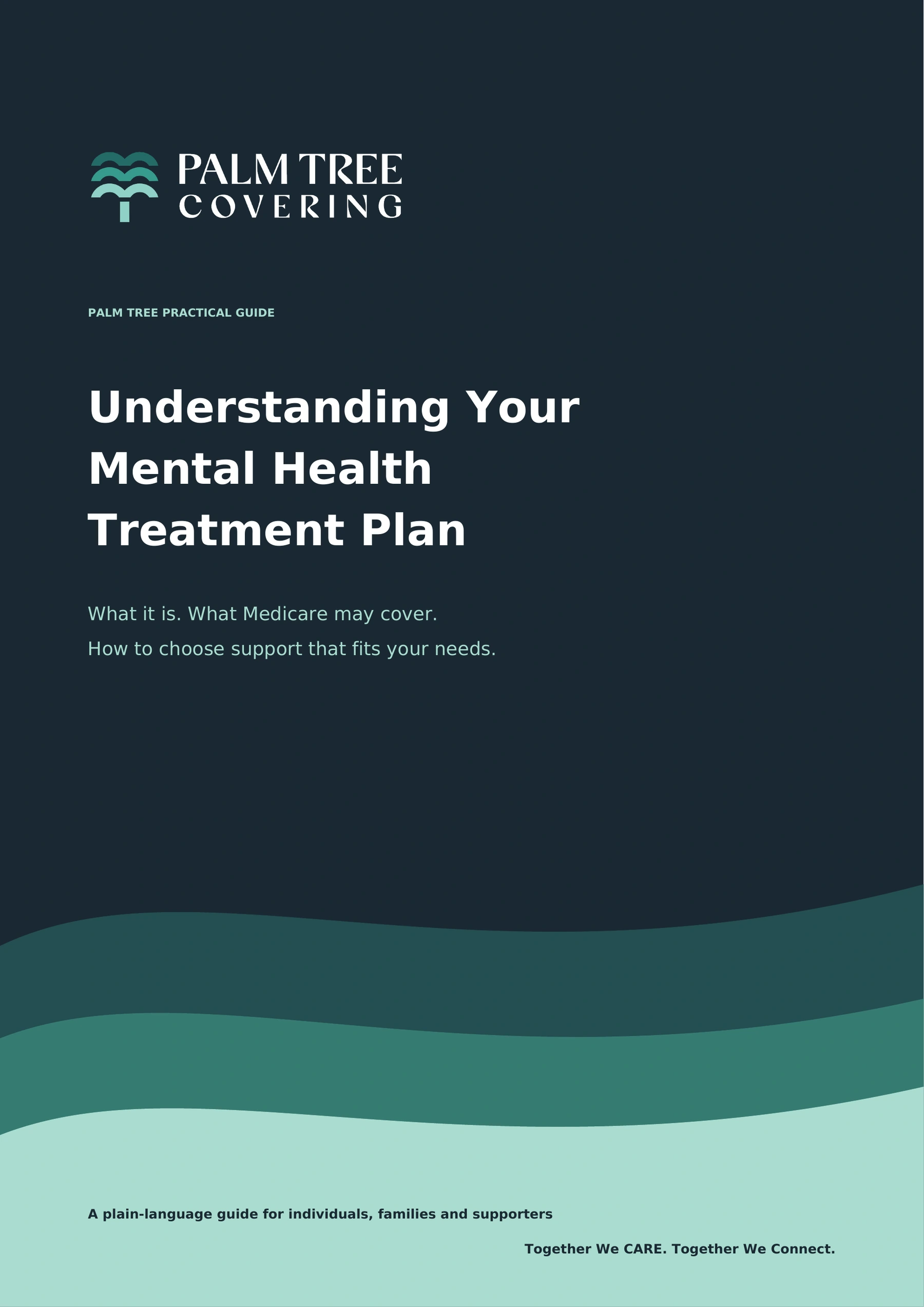 Cover of Understanding a Mental Health Treatment Plan