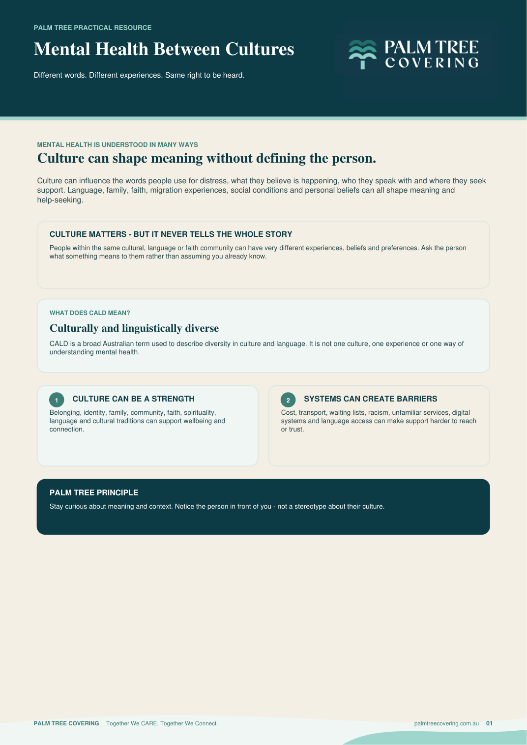 Cover of Mental Health Between Cultures